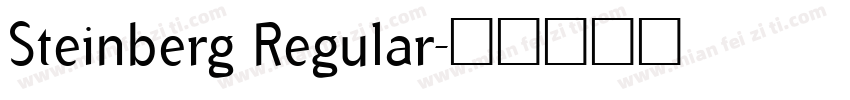 Steinberg Regular字体转换
